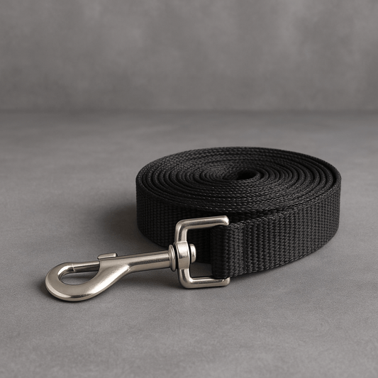 Nylon Dog Leash - Pawfy