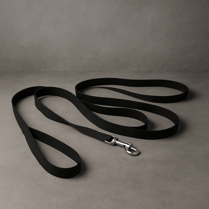 Nylon Dog Leash - Pawfy