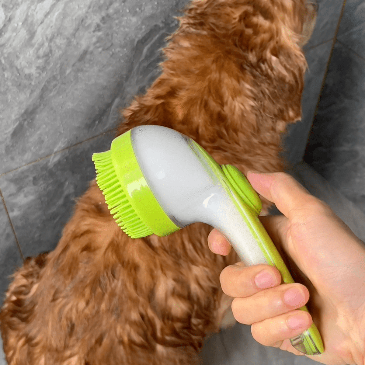 Pawfy Bath Brush - Pawfy