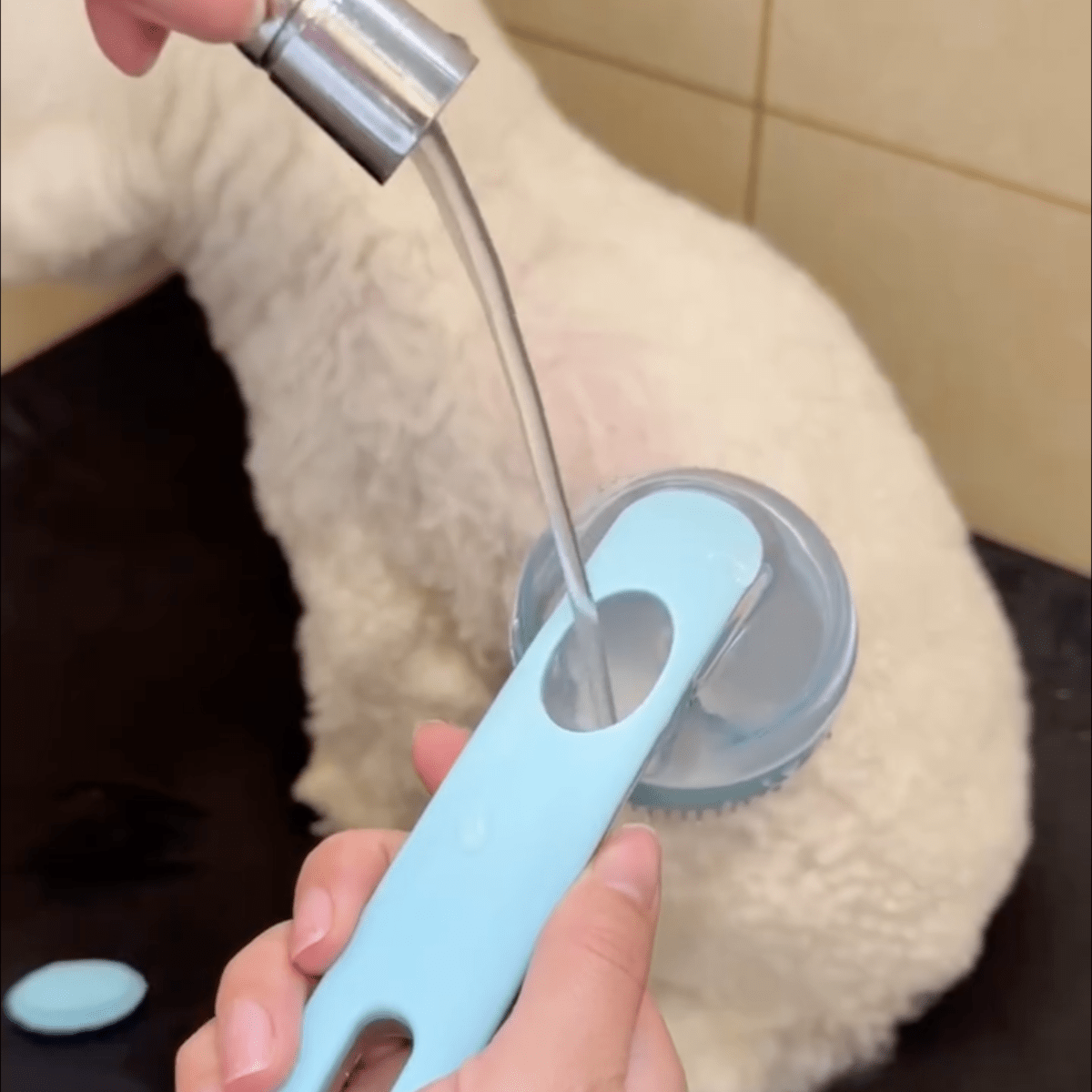 Pawfy Bath Brush - Pawfy