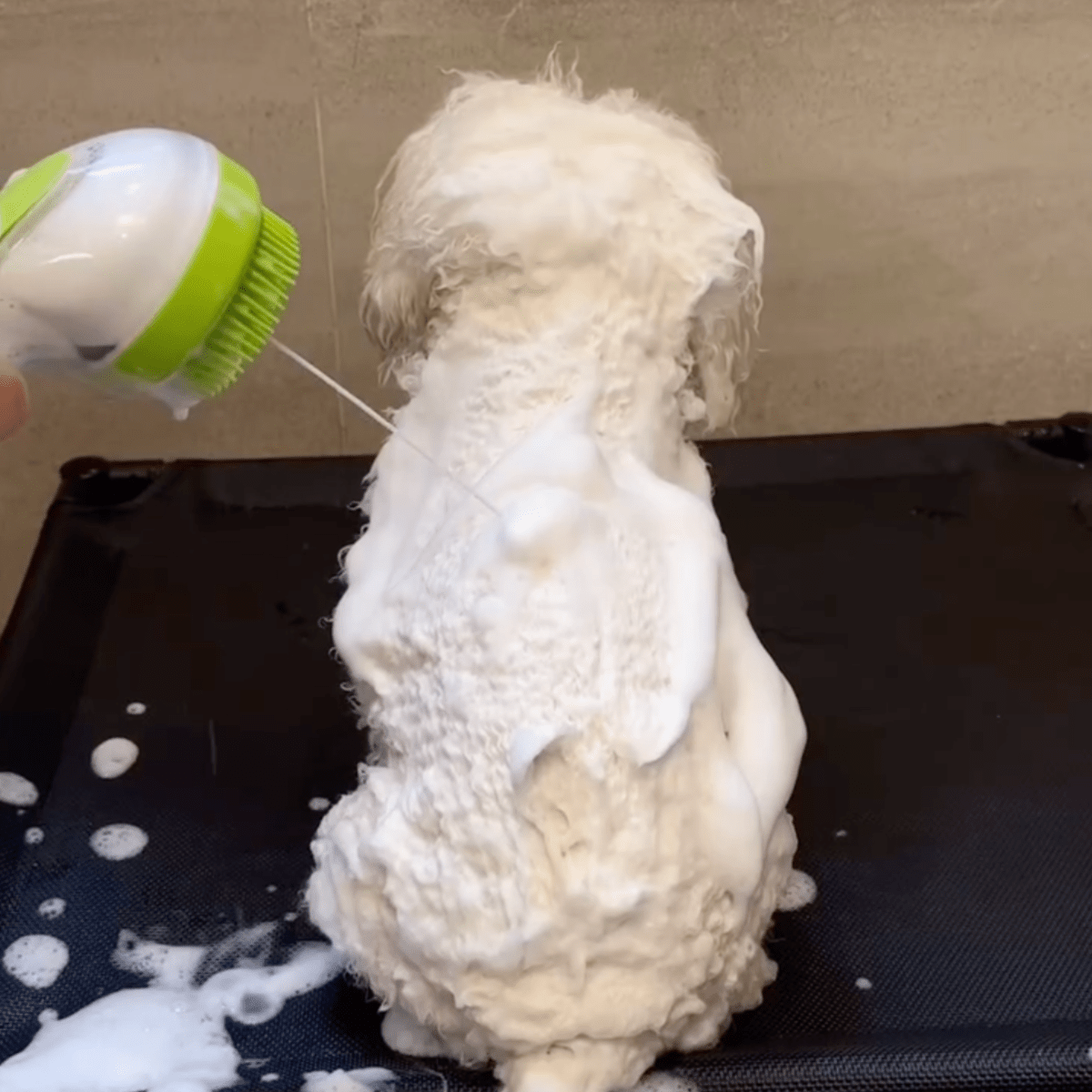 Pawfy Bath Brush - Pawfy