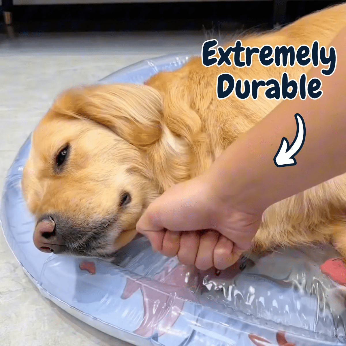Pawfy Cooling Water Bed - Pawfy