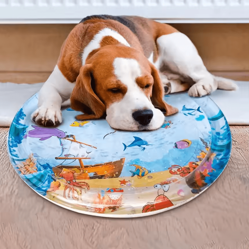 Pawfy Cooling Water Bed - Pawfy