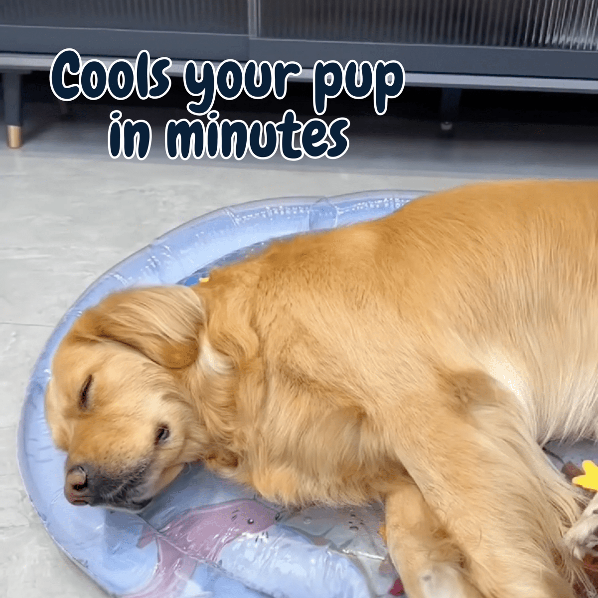 Pawfy Cooling Water Bed - Pawfy
