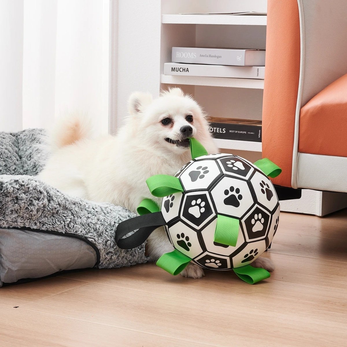 Pawfy Durable Doggie Ball - Pawfy