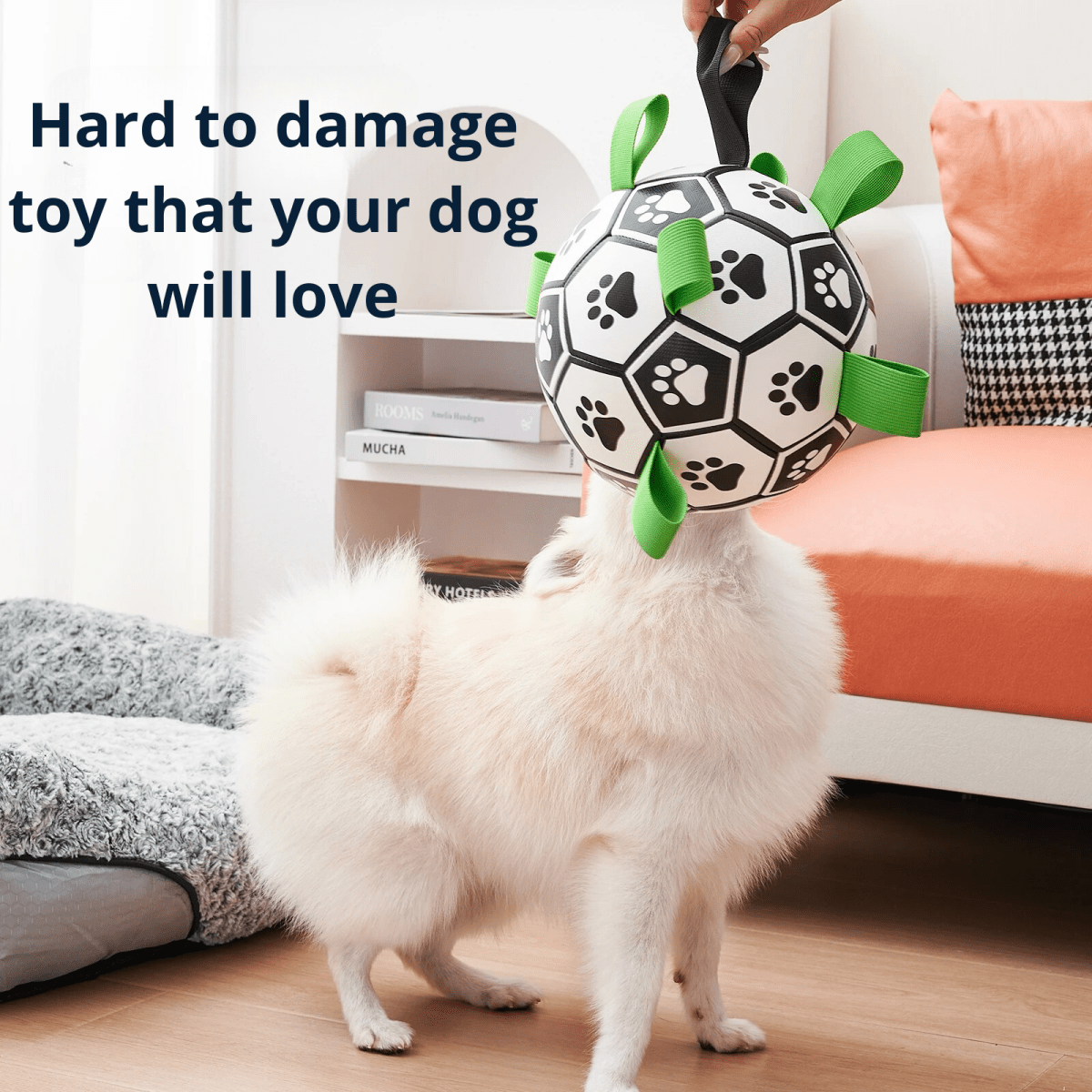 Pawfy Durable Doggie Ball - Pawfy