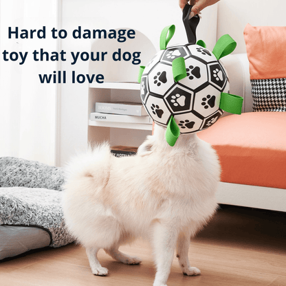 Pawfy Durable Doggie Ball - Pawfy