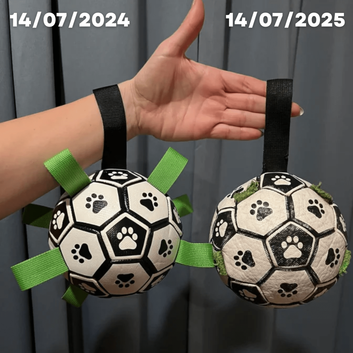 Pawfy Durable Doggie Ball - Pawfy