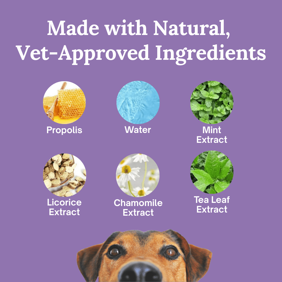 Pawfy FurFresh™ Dental Gel - Pawfy