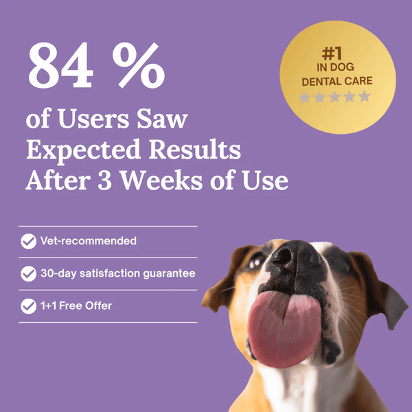 Pawfy FurFresh™ Dental Gel - Pawfy