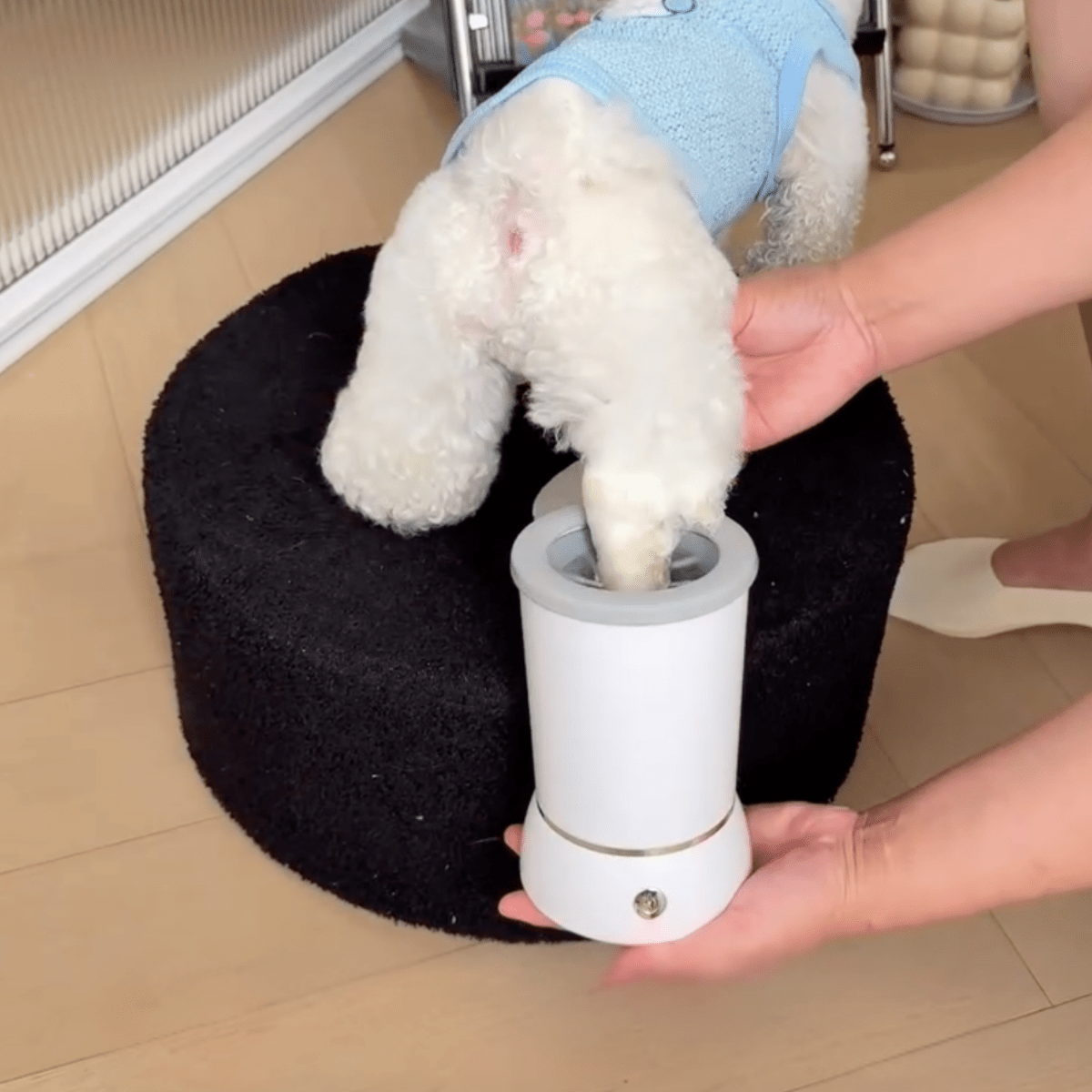 Pawfy Paw Cleaner - Pawfy