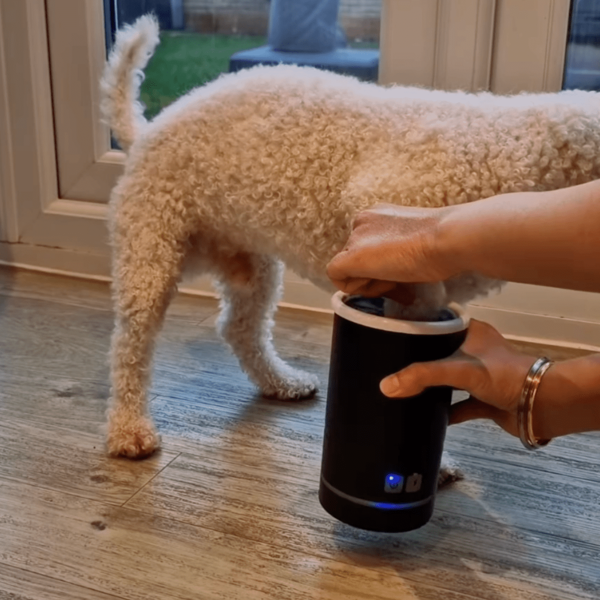 Pawfy Paw Cleaner - Pawfy
