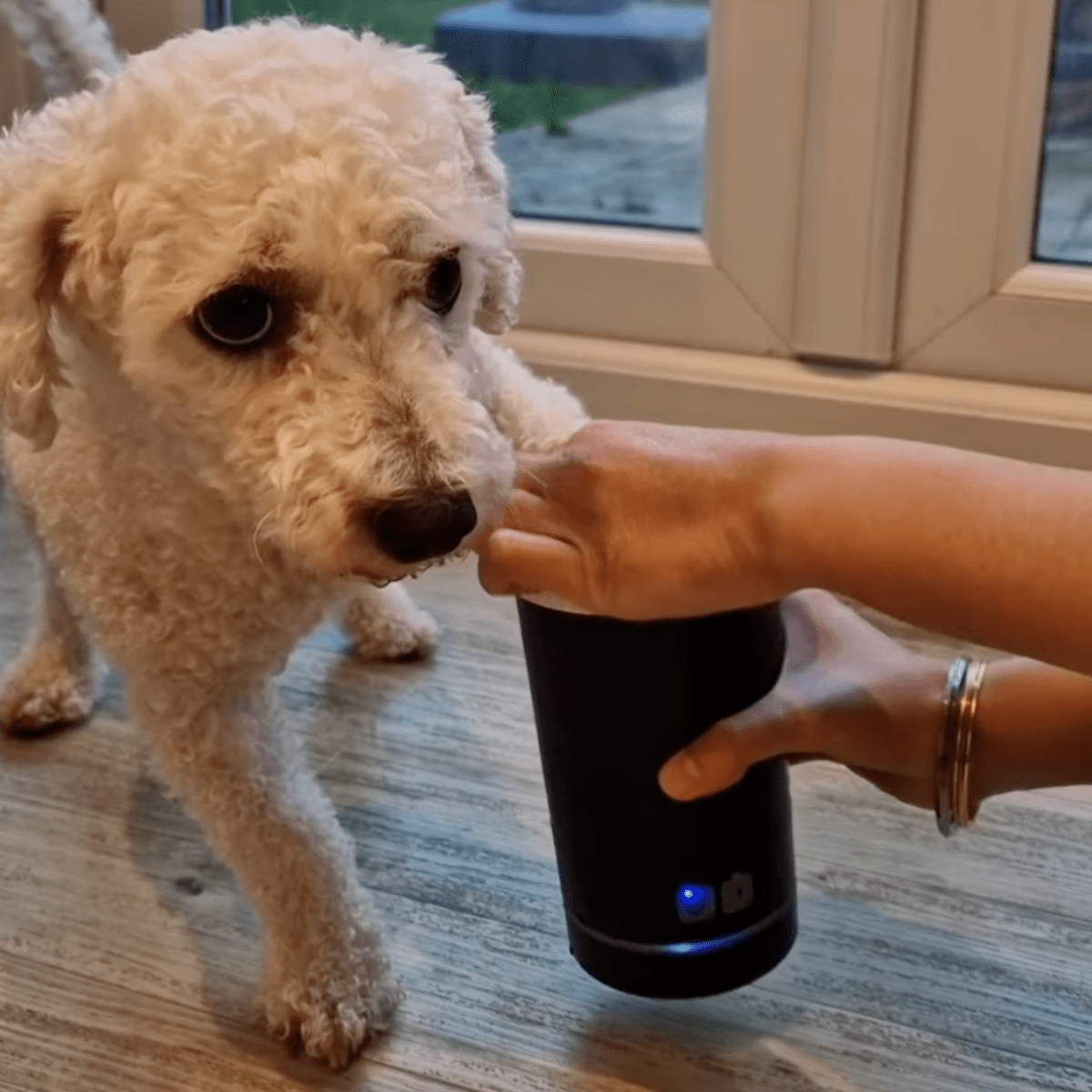 Pawfy Paw Cleaner - Pawfy