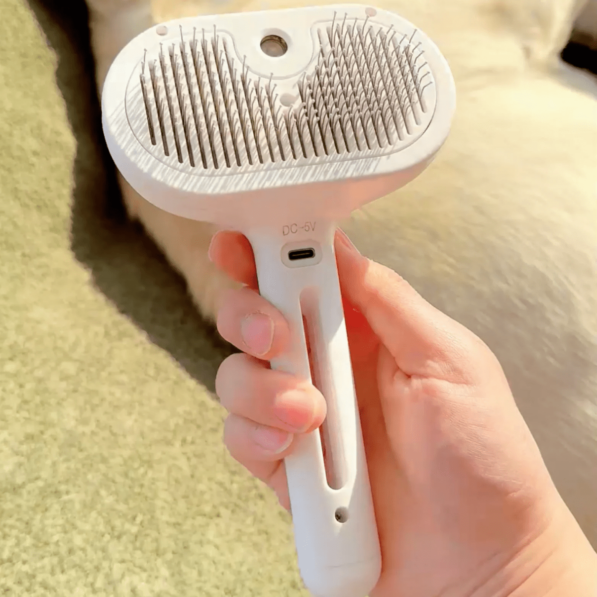 Pawfy Viral Brush - Pawfy