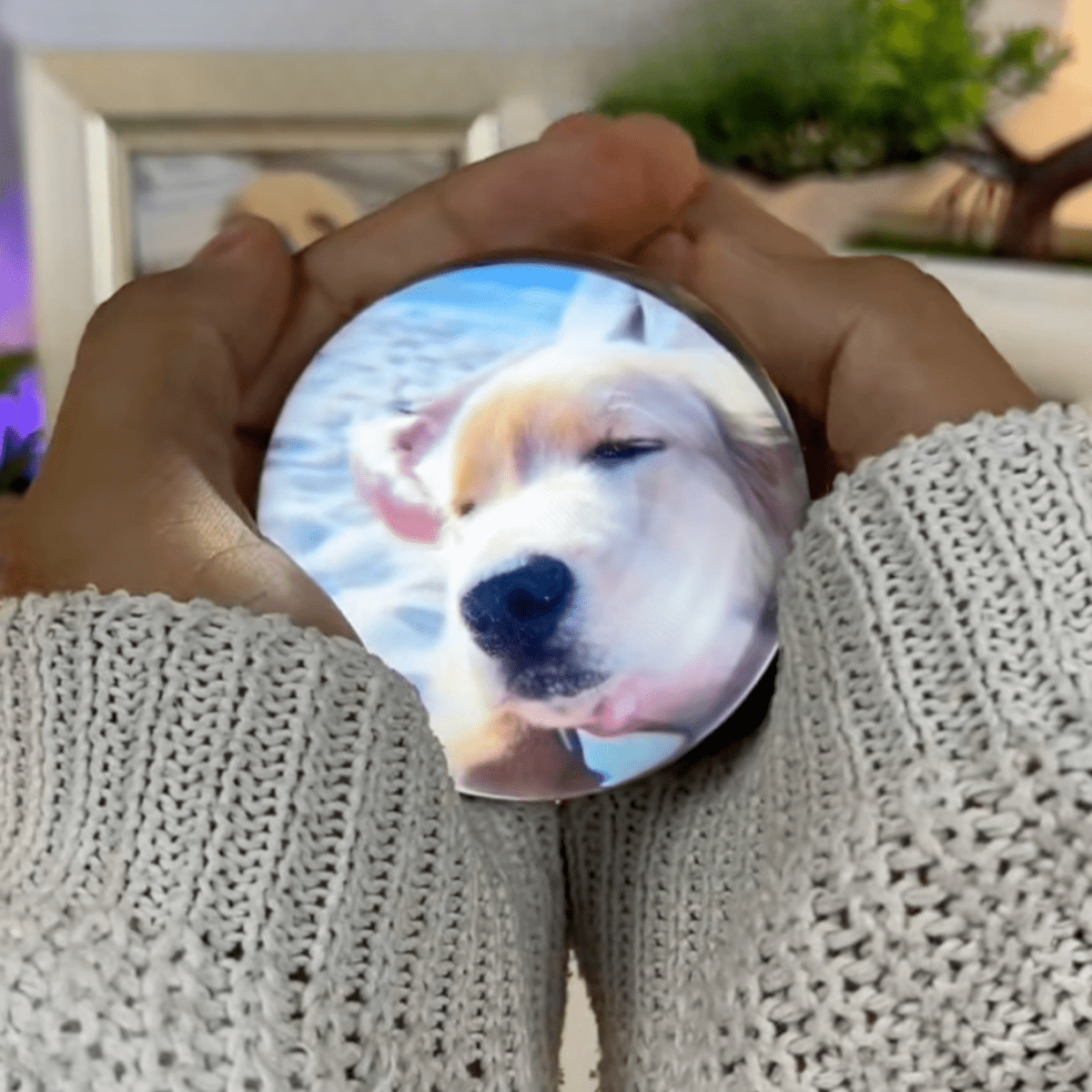 Pawfy Viral Memory Ball - Pawfy
