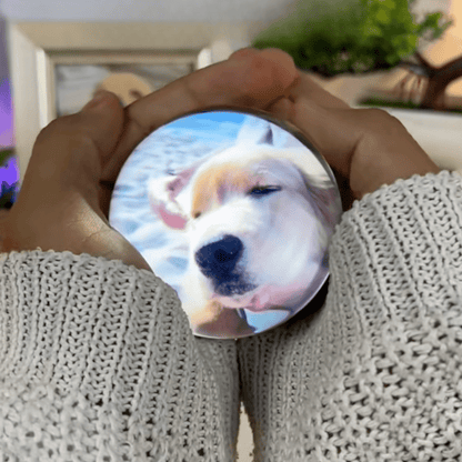 Pawfy Viral Memory Ball - Pawfy