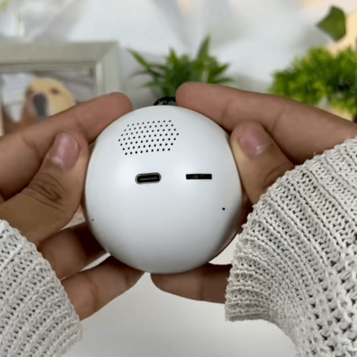Pawfy Viral Memory Ball - Pawfy