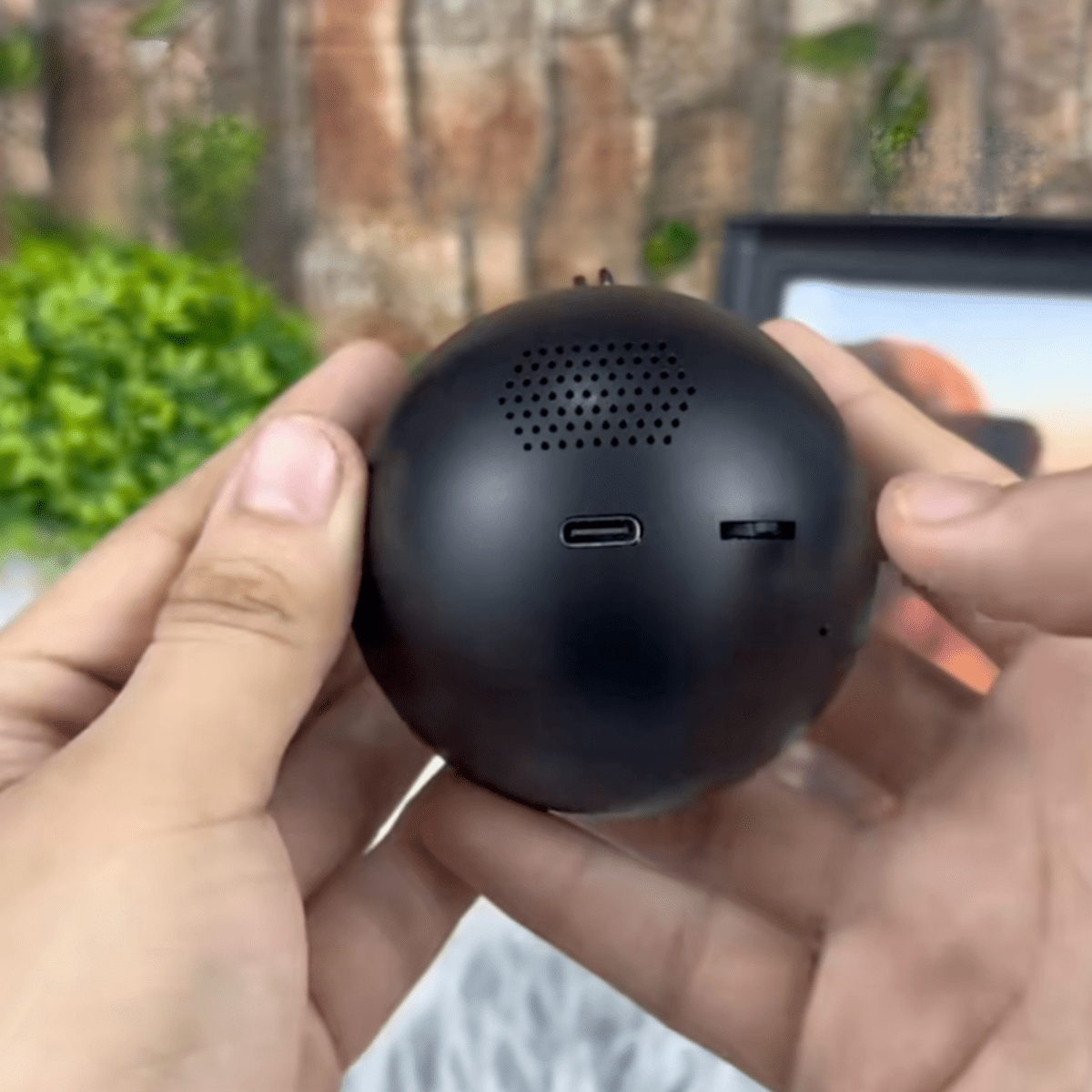Pawfy Viral Memory Ball - Pawfy
