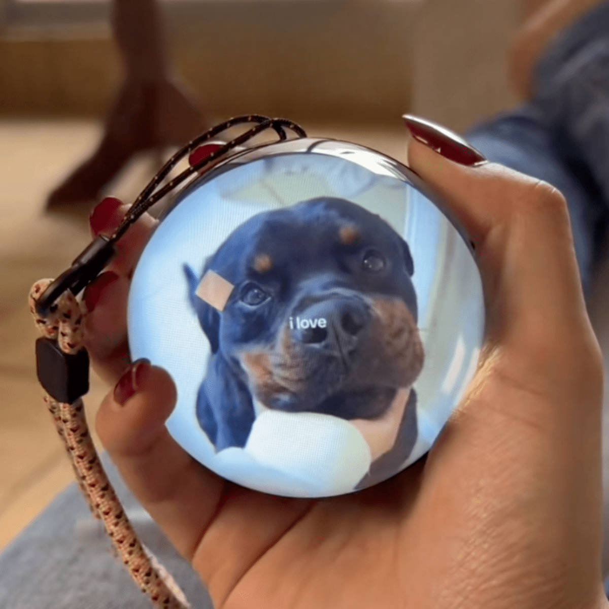 Pawfy Viral Memory Ball - Pawfy
