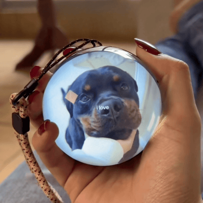 Pawfy Viral Memory Ball - Pawfy