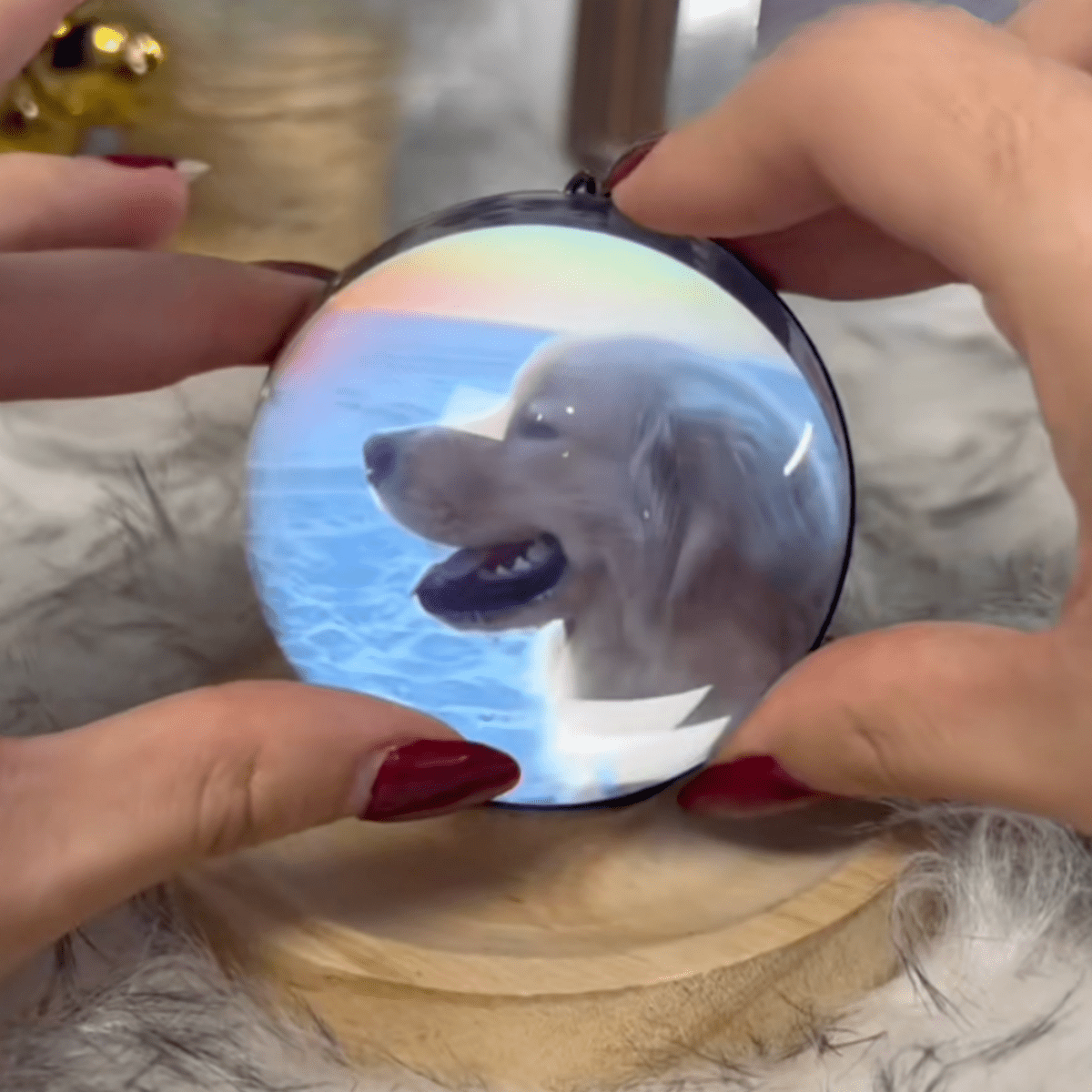 Pawfy Viral Memory Ball - Pawfy