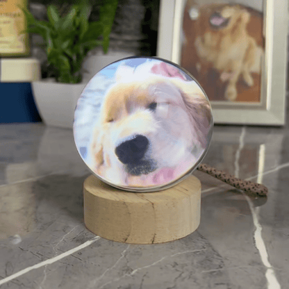 Pawfy Viral Memory Ball - Pawfy