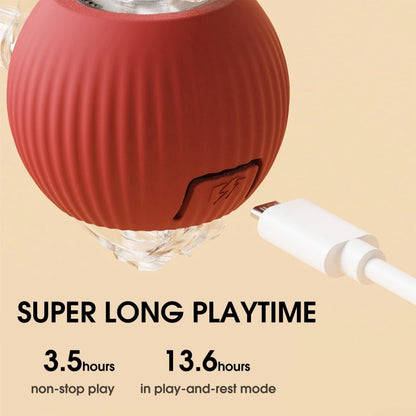 Rollraptor Smart Play Ball - Pawfy
