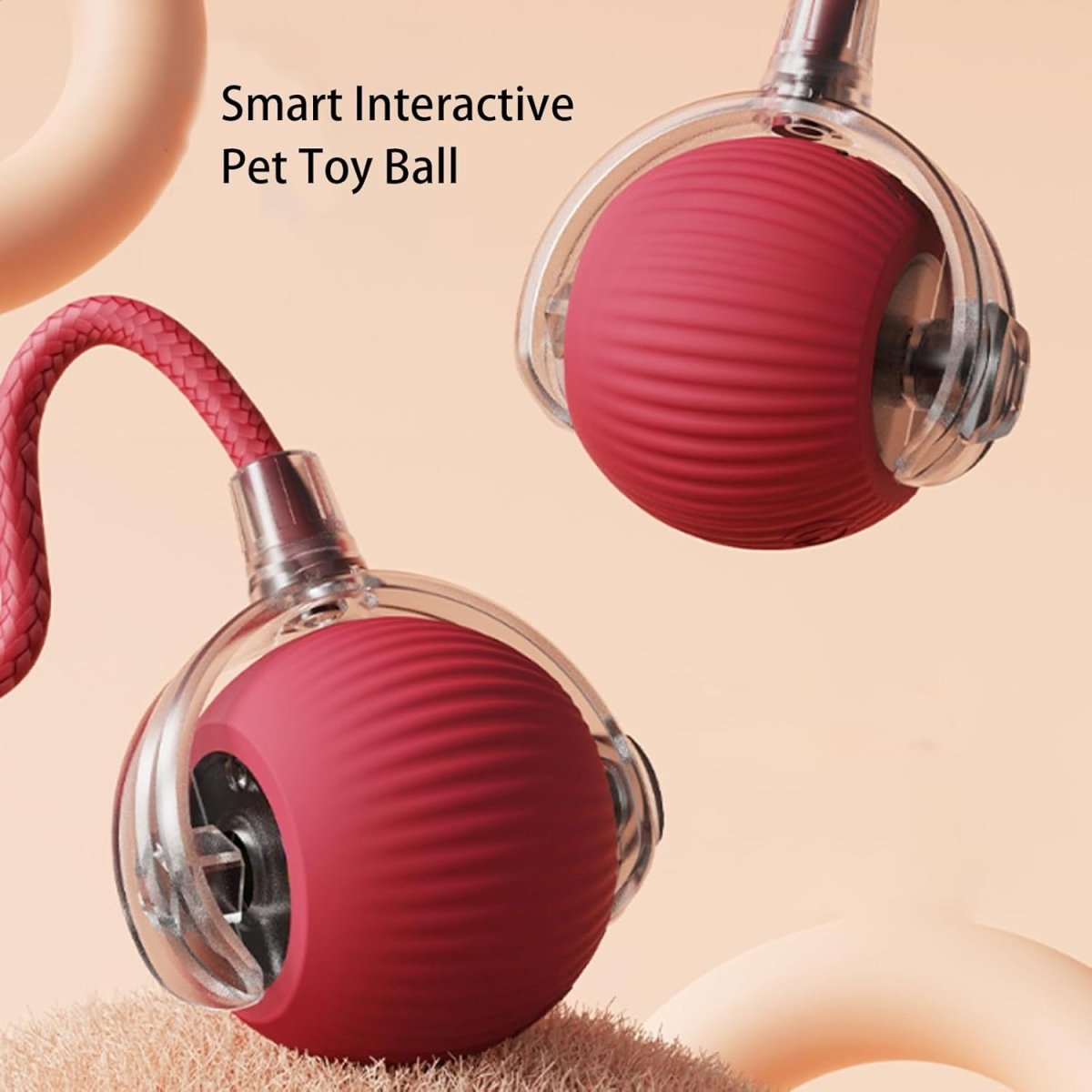 Rollraptor Smart Play Ball - Pawfy