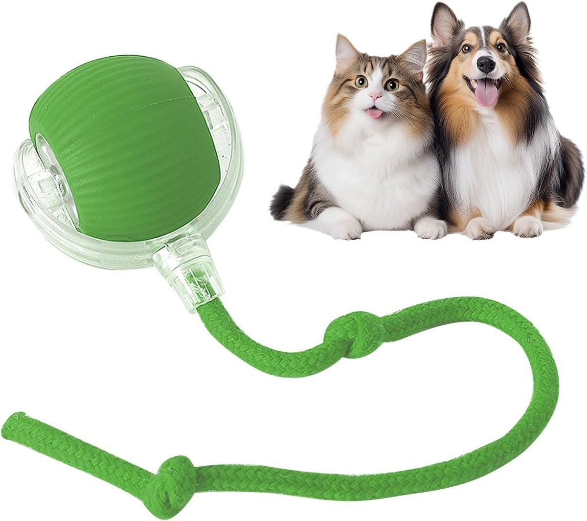 Rollraptor Smart Play Ball - Pawfy