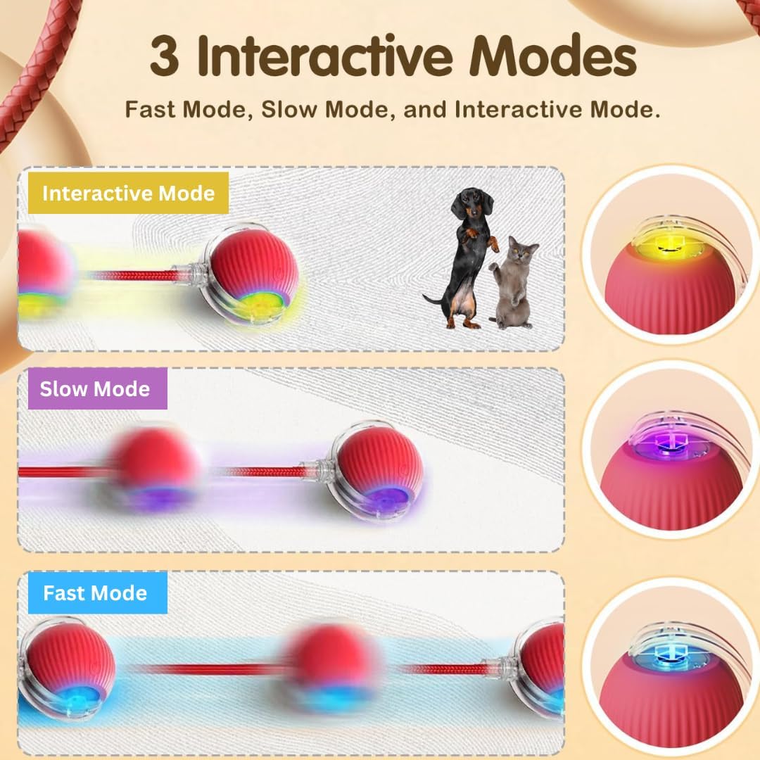 Rollraptor Smart Play Ball - Pawfy