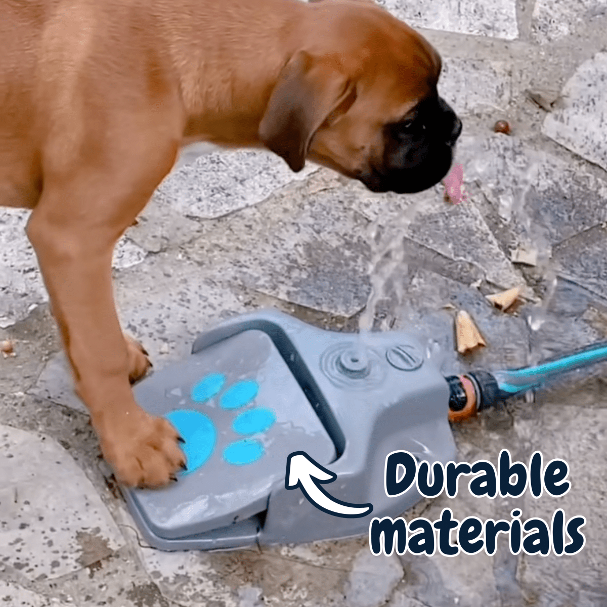 SplashBuddy™ Dog Fountain - Pawfy