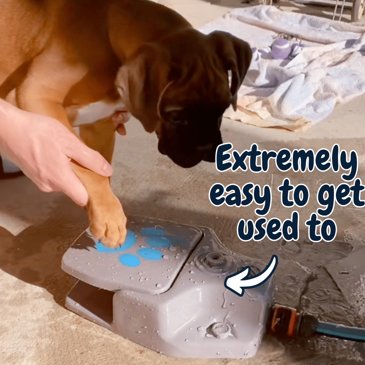SplashBuddy™ Dog Fountain - Pawfy