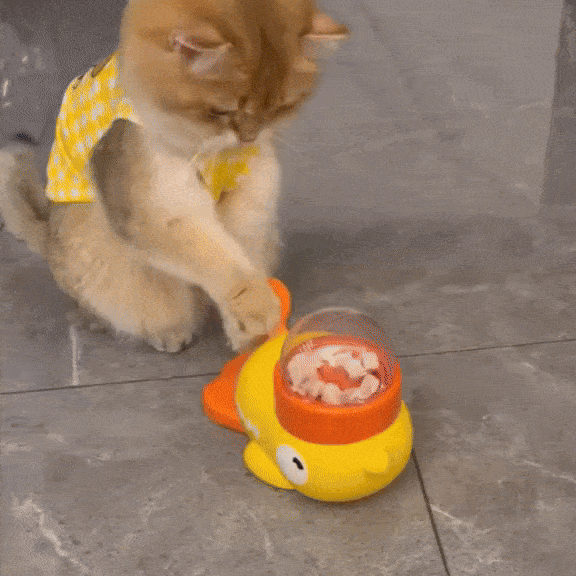 Duck Treat Feeder