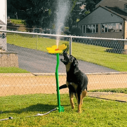 Viral Crazy Daisy - Pawfy