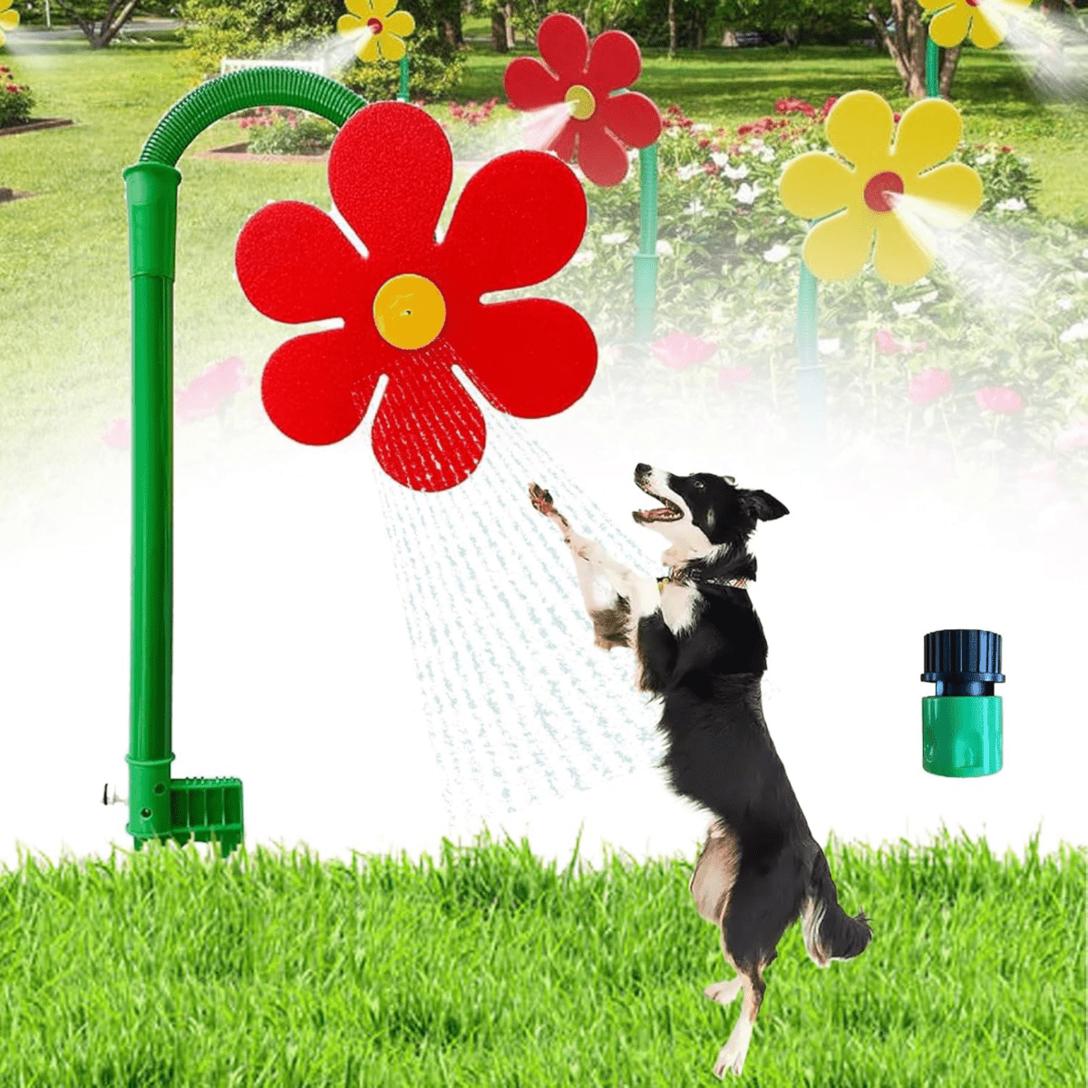 Viral Crazy Daisy - Pawfy